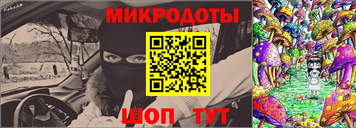Псилоцибиновые грибы Cubensis Мценск