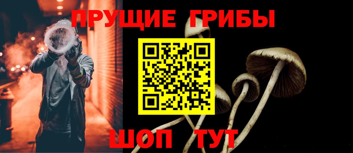 закладка  Галлюциногенные грибы ЛСД  Вход с VPN  Мценск 